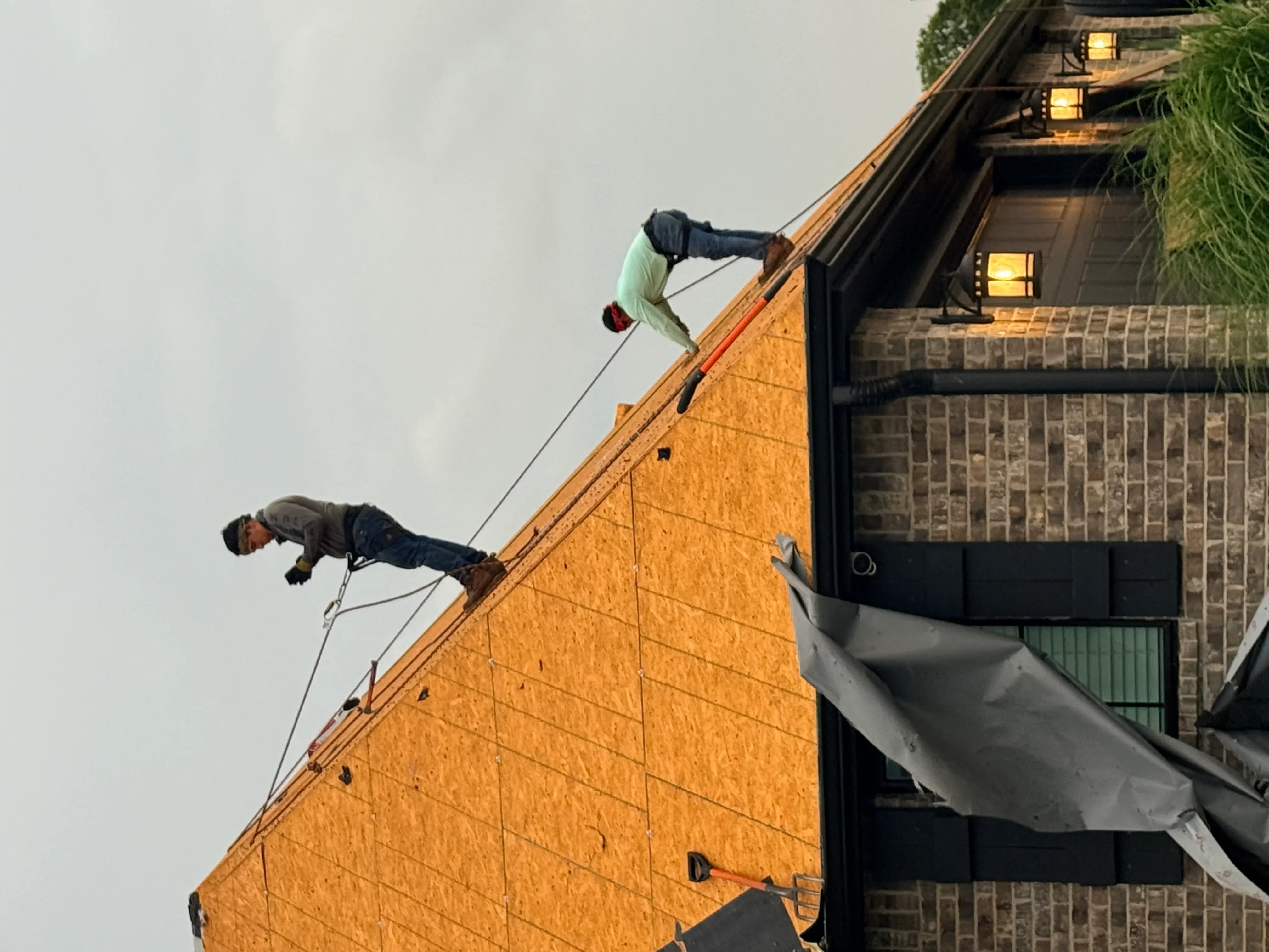 Workers installing OSB roof sheathing on pitched residential roof with safety harnesses